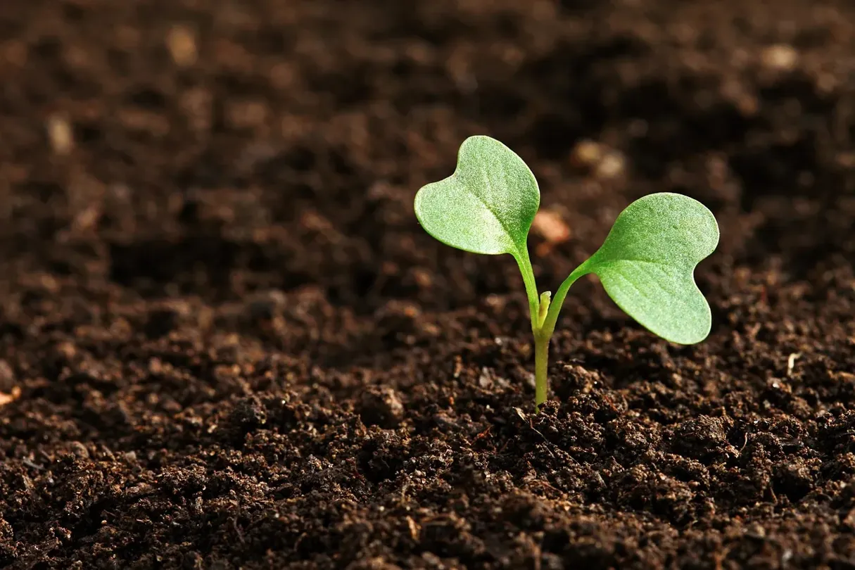 Earth Month Case Studies From The Greenspark Community