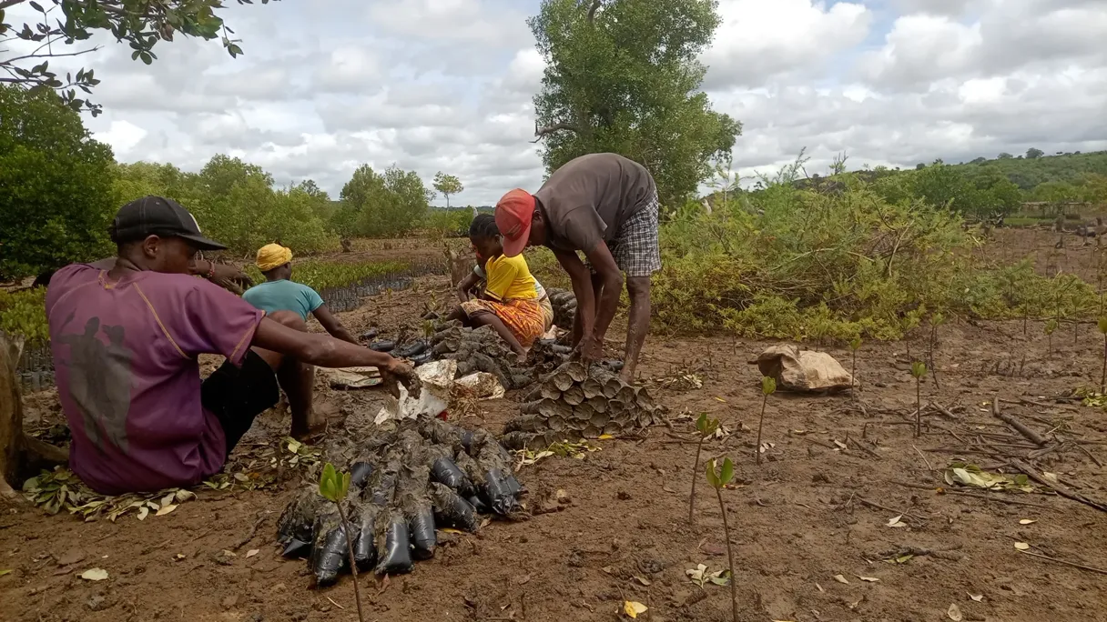 Why Working Alongside Indigenous Communities Is Essential for Successful Environmental Action