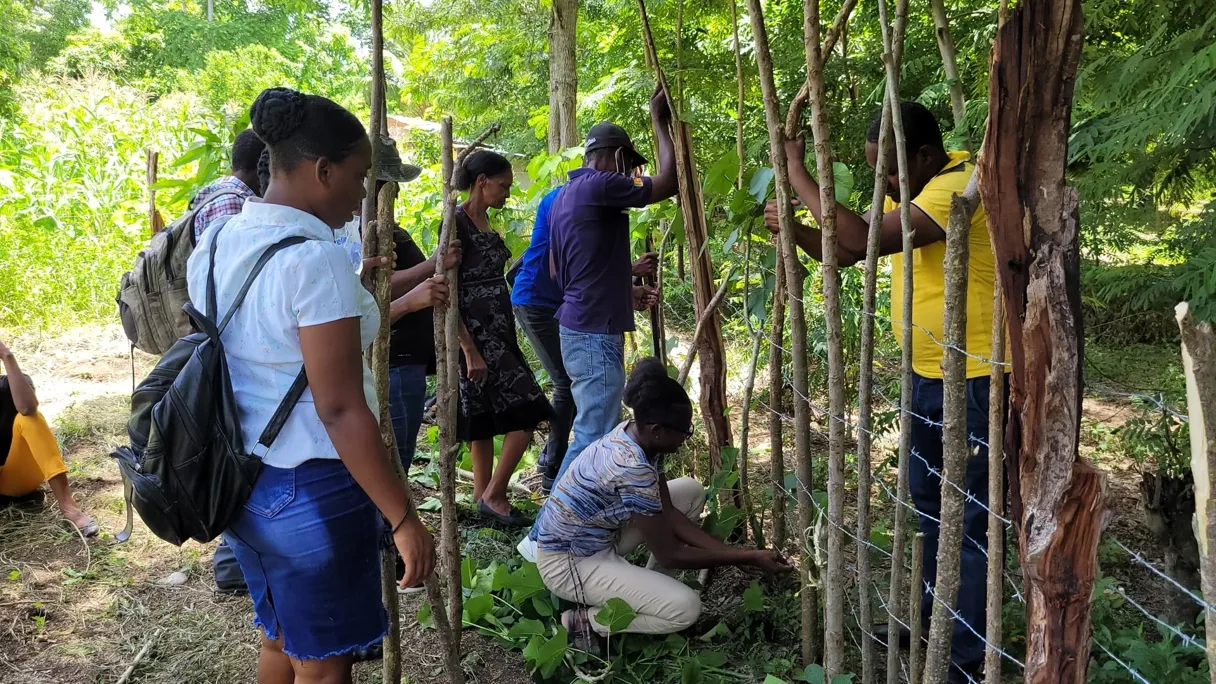 Empowering Communities Through Pollinator Agroforestry