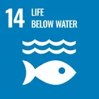 Conserve and sustainably use the oceans, seas and marine resources for sustainable development.
