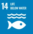 Conserve and sustainably use the oceans, seas and marine resources for sustainable development.