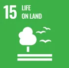 Protect, restore and promote sustainable use of terrestrial ecosystems, sustainably manage forests, combat desertification, and halt and reverse land degradation and halt biodiversity loss.