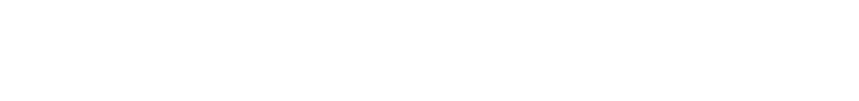 The Schumann logo