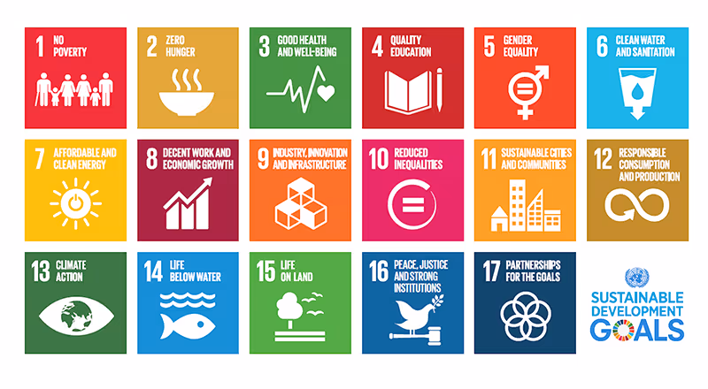 What are the United Nations Sustainable Development Goals?