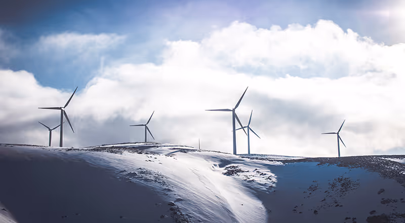 Why Carbon Offsetting is Just One Part of The Solution
