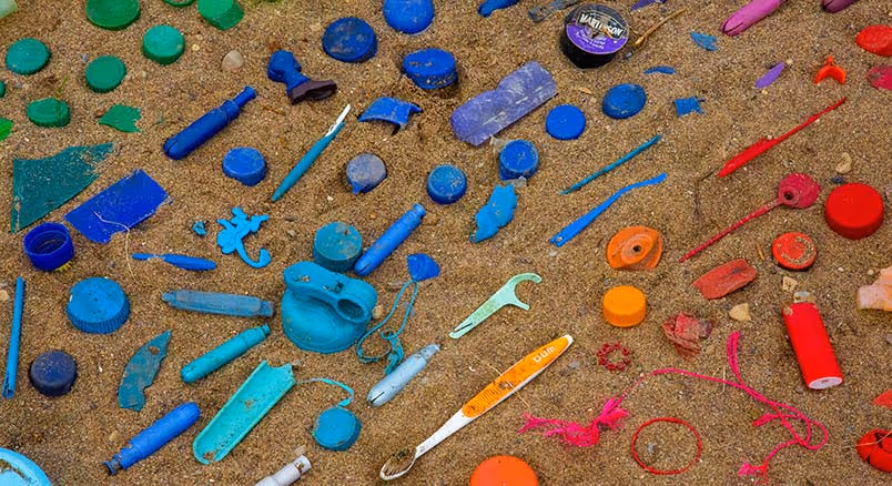 Easy Tips to Reduce Single-Use Plastic