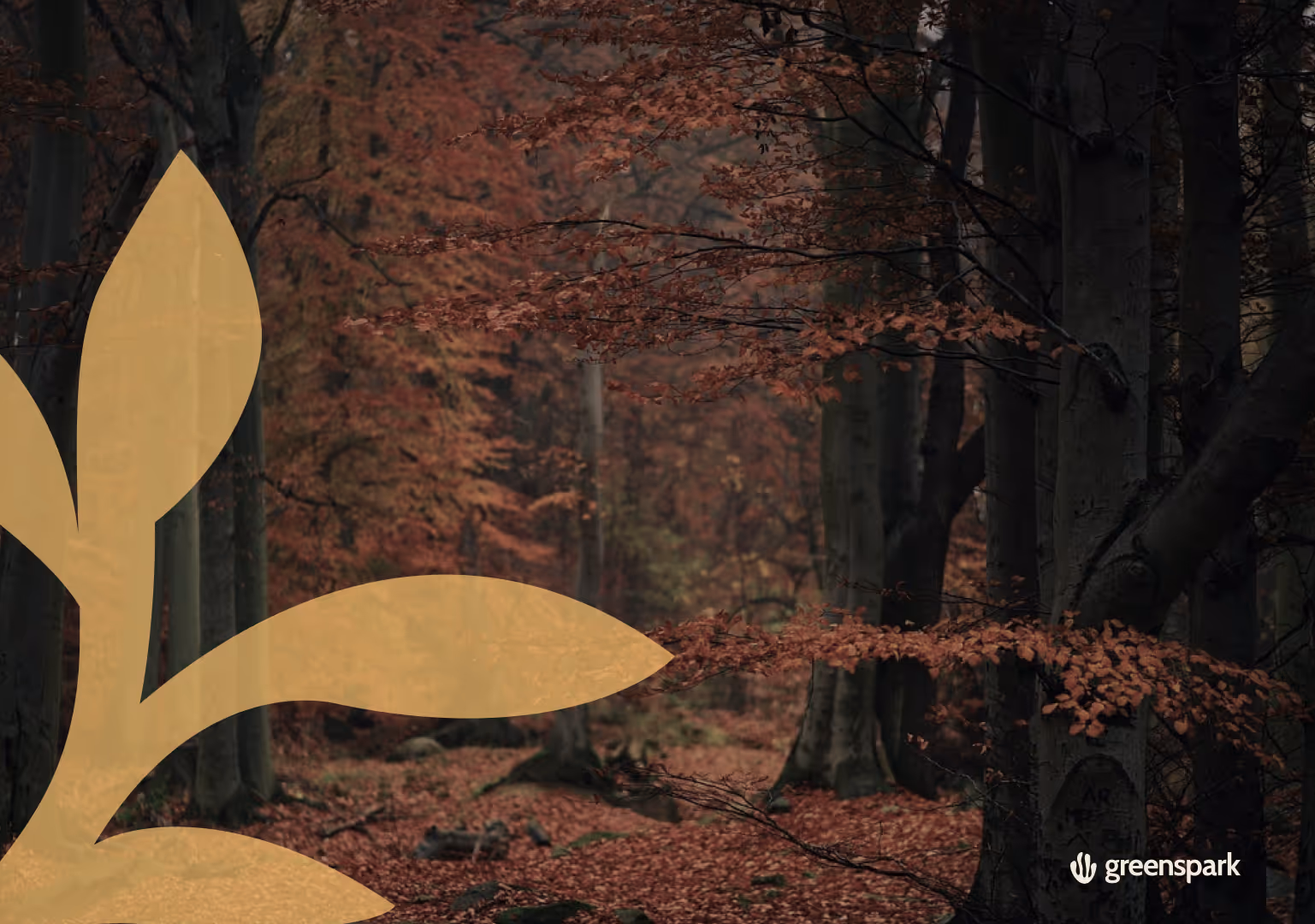 5 Reasons Planting Trees is Critical For The Planet