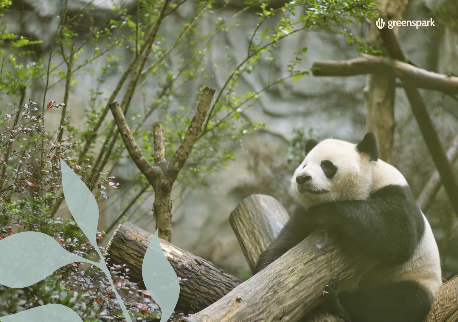Positive Environmental Stories You Need To Know on Earth Day