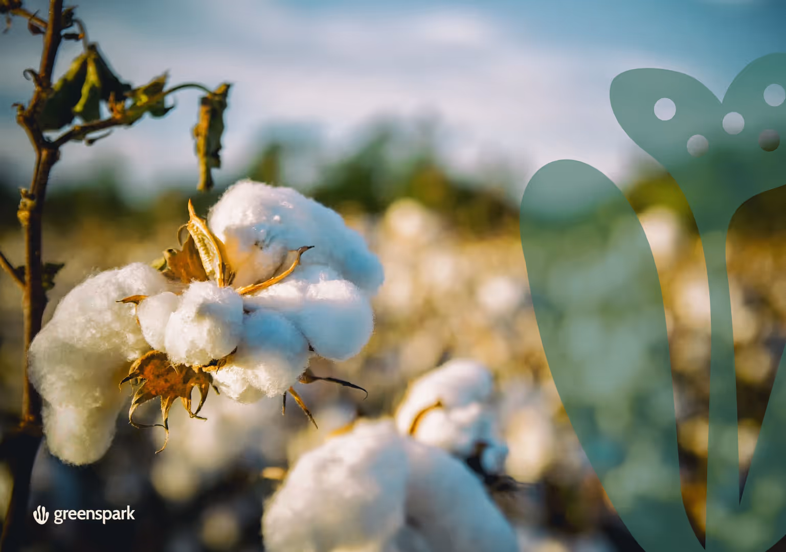 How Can You Utilise Circular Methods of Production?