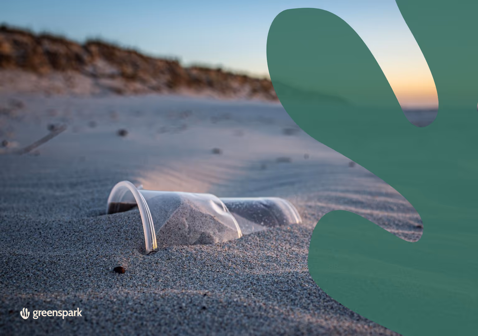 Microplastics: What Can We Do About Them?