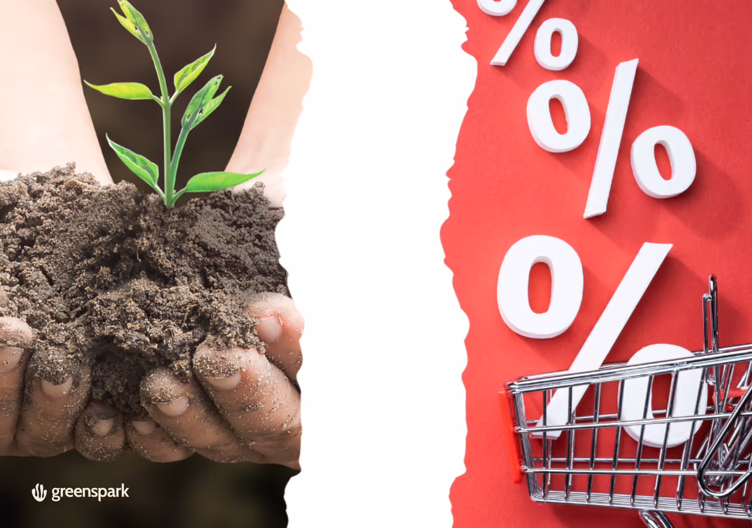 Impact Led Campaigns & How You Can Achieve Them With Greenspark!