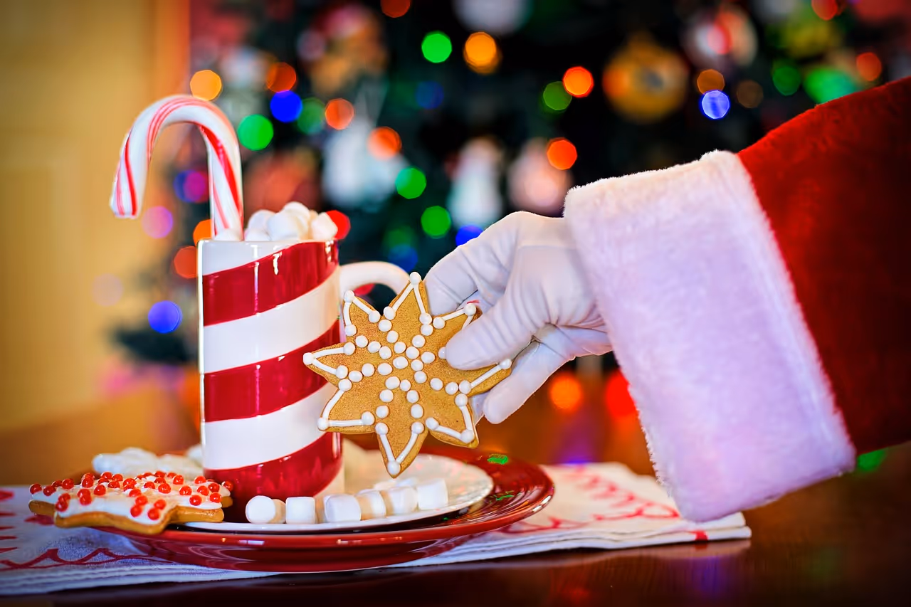 8 Tips For A Sustainable Christmas