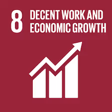 Promote sustained, inclusive and sustainable economic growth, full and productive employment and decent work for all.