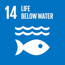 Conserve and sustainably use the oceans, seas and marine resources for sustainable development.